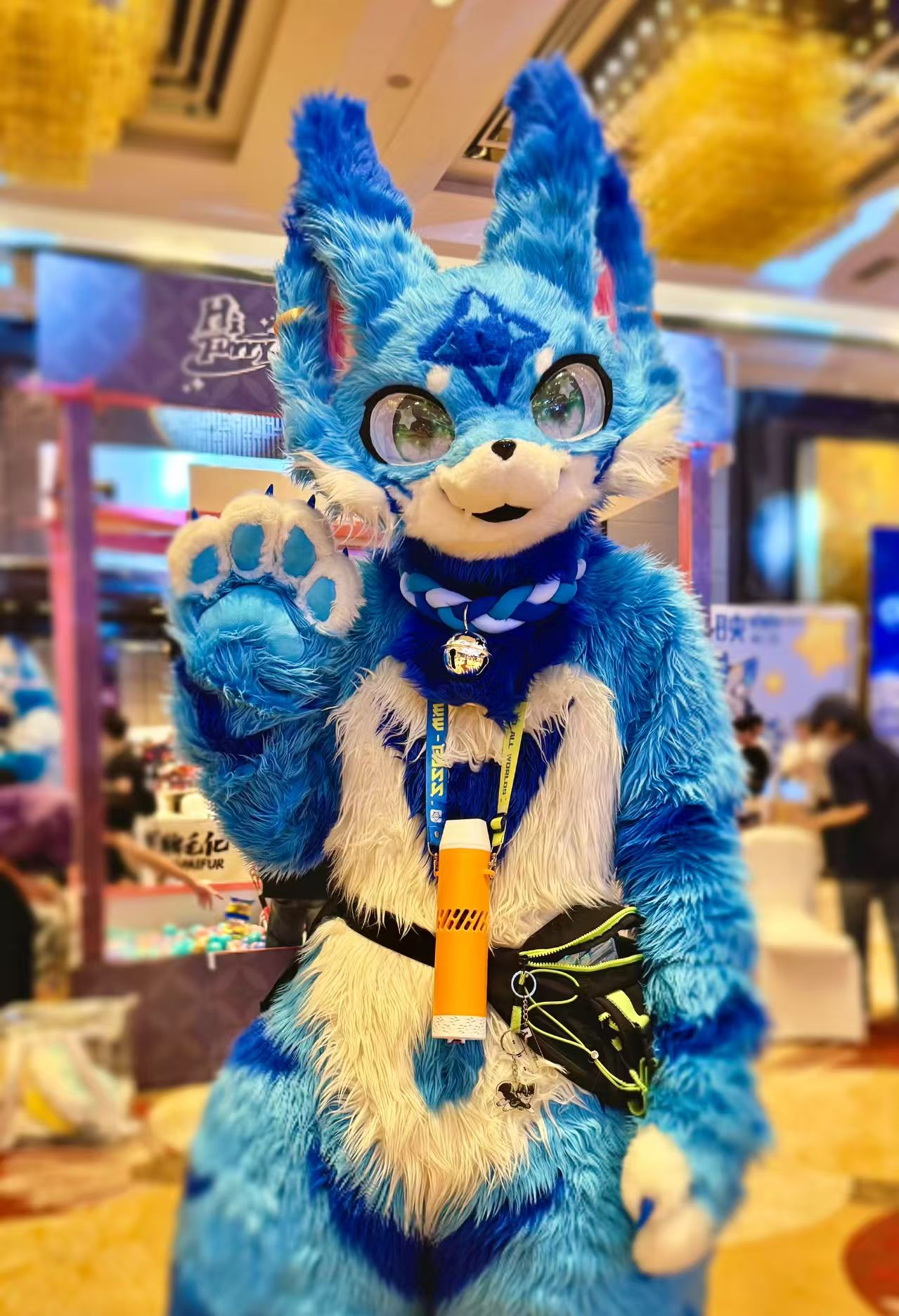 Fursuit 17