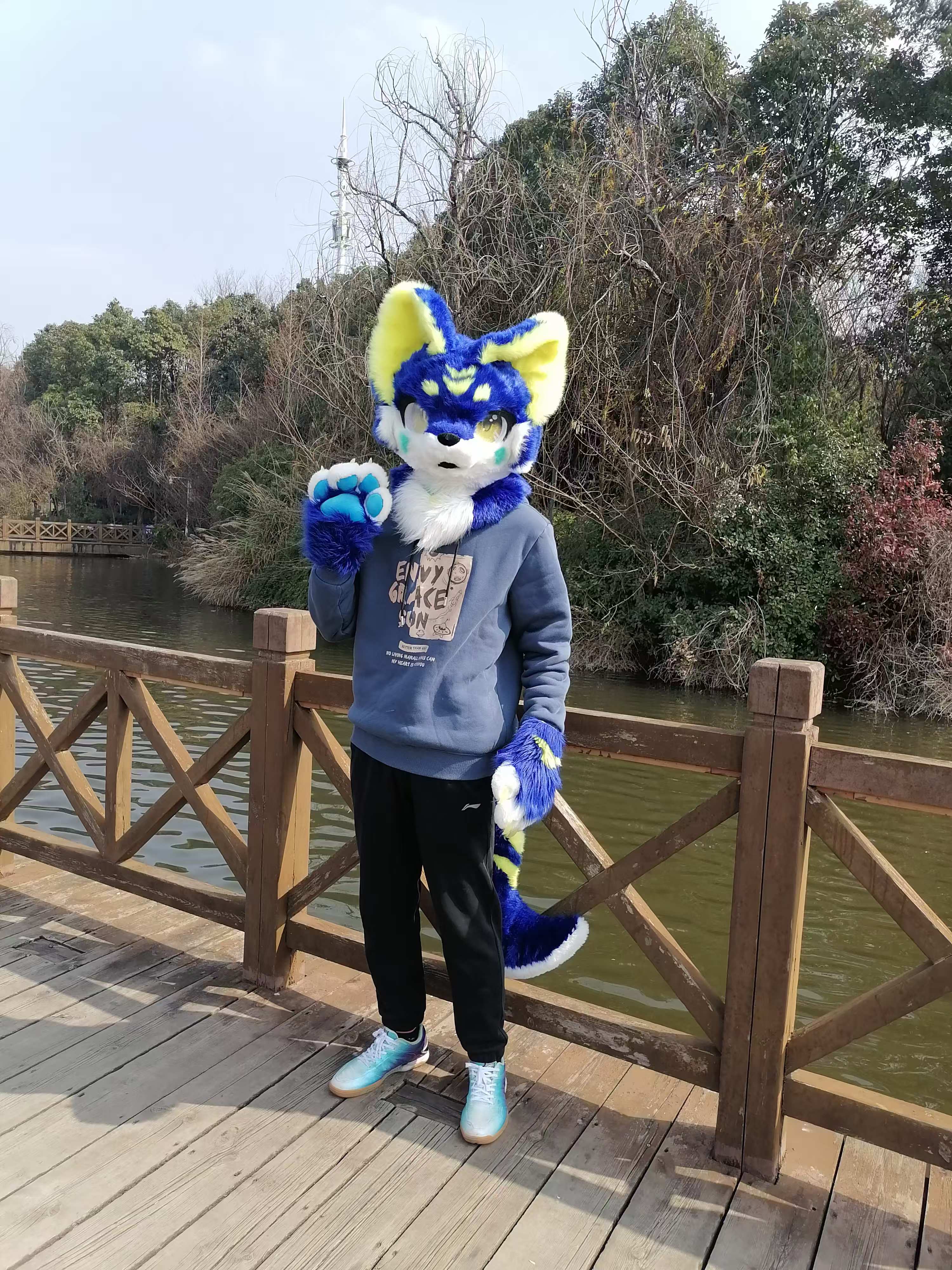 Fursuit 20