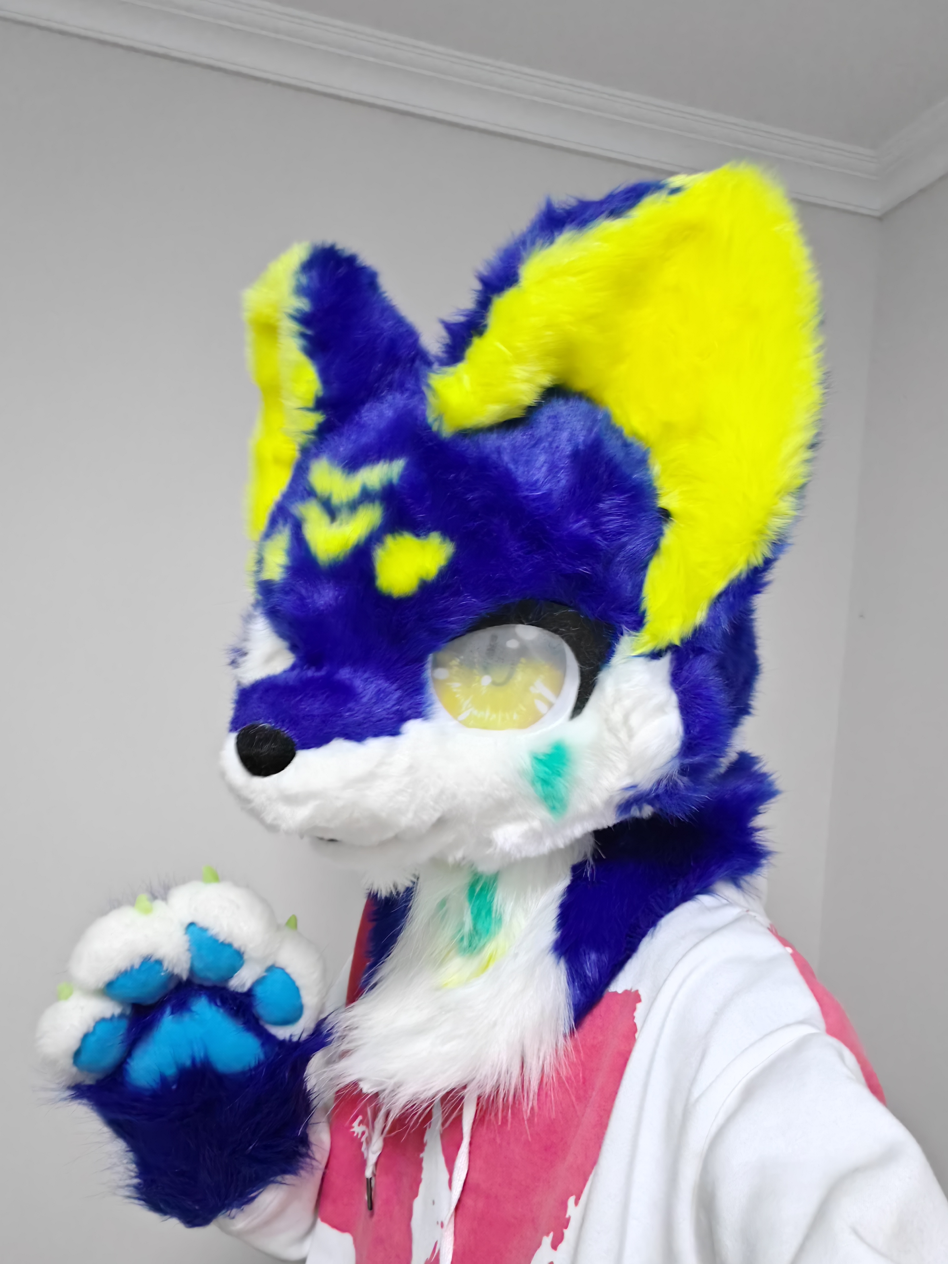 Fursuit 22