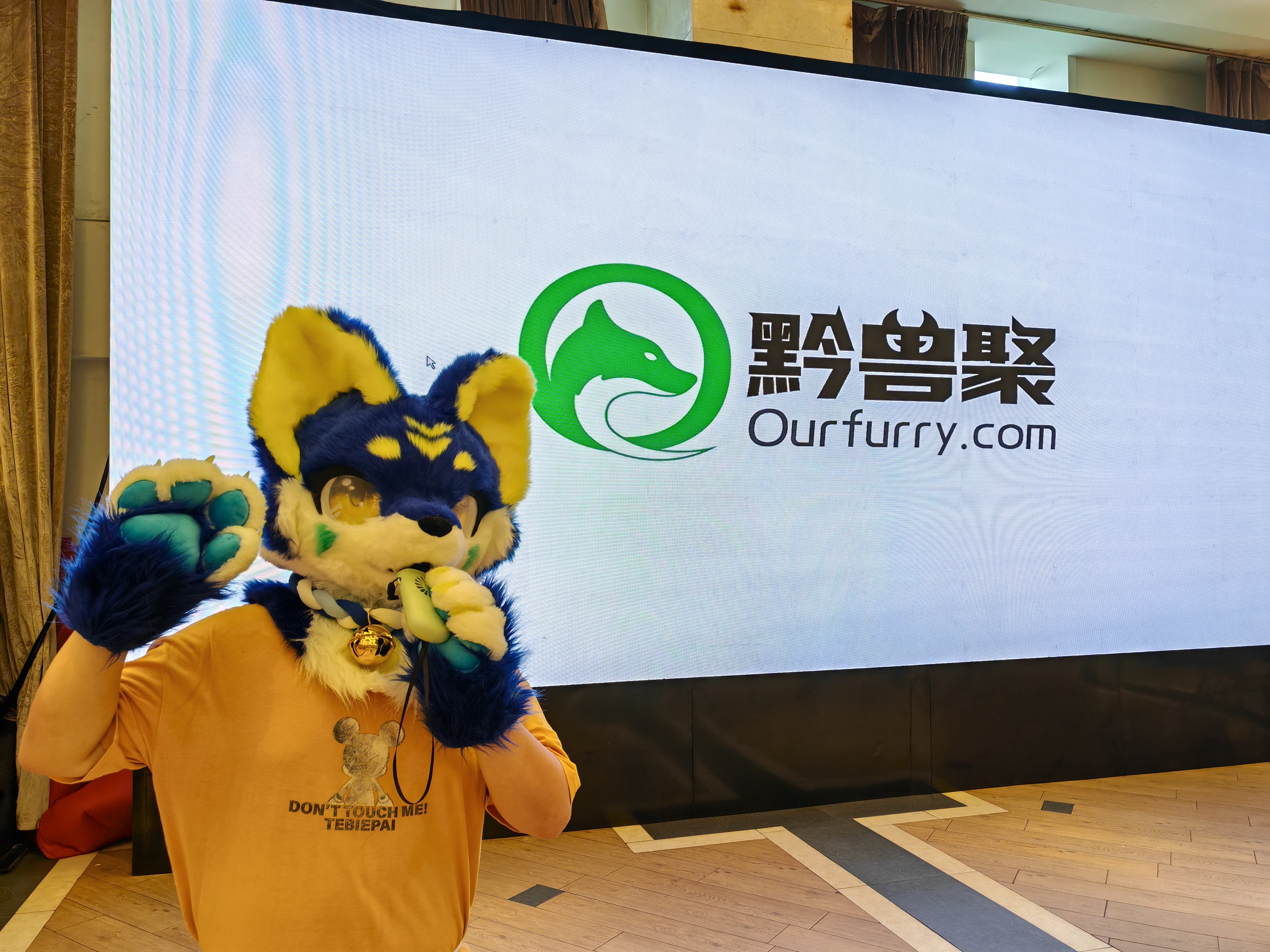 Fursuit 24